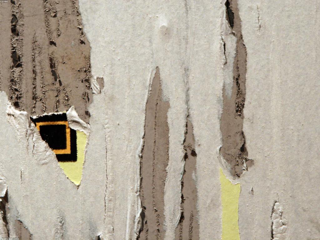 ការស្រាវជ្រាវលើសំណួរពេញនិយម