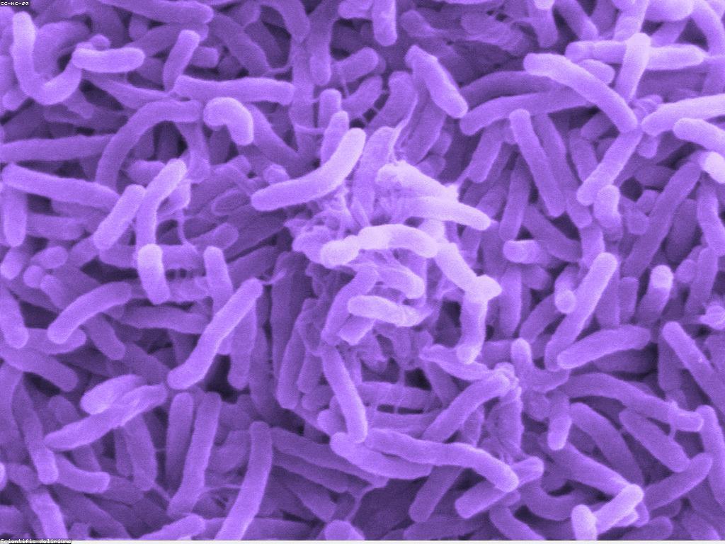 សារសំខាន់នៃអត្ថបទចំណេះដឹង